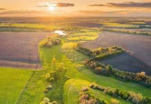 День екологічної освіти. Чому важливо говорити про ековиховання не лише у цей день