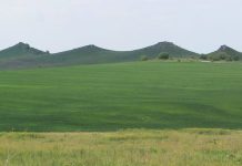 Знайомство з Хмельниччиною: Вербецька товтра – гора з чотирма вершинами