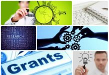 Фінансова підтримка бізнесу: компенсації та гранти