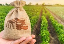 У межах програми «Доступні кредити 5–7–9» аграрії цьогоріч залучили майже 50,8 млрд грн