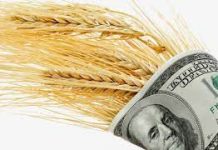 Канада надає 40 мільйонів доларів США для забезпечення 2,4 мільйона тонн сховищ