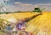 Більше 6,5 тис аграріїв вже є учасниками програми державної підтримки