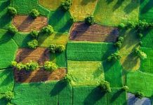 Верховна Рада ухвалила Закон щодо відновлення системи оформлення прав оренди земельних ділянок сільськогосподарського призначення та удосконалення законодавства щодо охорони земель