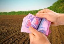 Майже 14 тисяч фермерів отримають понад 900 млн грн у рамках першого траншу програми підтримки малих агровиробників