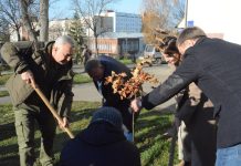 Триває кампанія озеленення Хмельниччини в умовах війни