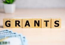 Уряд вдосконалив програми грантової підтримки бізнесу єРобота