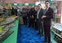 Музей історичної мініатюри запрацював у Хмельницькому