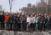 Для лісівників створення лісів – це основний обов’язок, а для дітей і військових – можливість відволіктися і отримати заряд позитиву