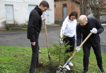 15 квітня – День довкілля
