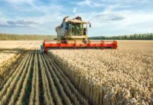 За програмою «Доступні кредити 5-7-9» цього року аграріям виплатили 22,5 млрд грн