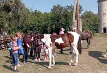 У Малієвецькому обласному історико-культурному музеї відбувся захід для дітей ВПО