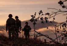 Пошук зниклих безвісти: алгоритм дій та правила безпеки