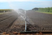 Аграрії та організації водокористувачів, які використовують меліоровані землі, зможуть отримати державну підтримку