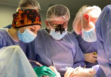 Трансплантація важливих органів проведена на базі обласних медичних закладів