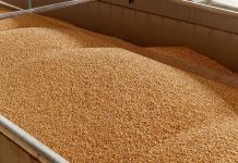 В Державному аграрному реєстрі розпочалася подача заявок на включення в перелік верифікованих експортерів