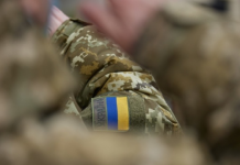 На вебплатформі е-Ветеран створили Єдину базу знань для ветеранів та їхніх сімей