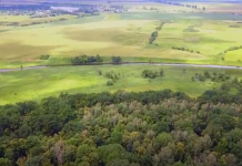 Знайомство з Хмельниччиною: Новоселицький парк у Полонській громаді