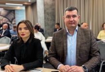 Довгострокове демократичне лідерство як основа сталого розвитку