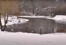 Знайомство з Хмельниччиною: Містичне озеро Вікнина