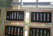 «Квіти Незламності»: виставка військових артефактів експонується в обласній раді