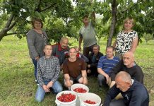 У Лонковецькому психоневрологічному інтернаті заготовляють сезонні фрукти