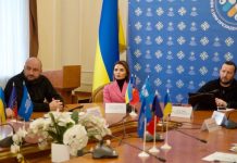 Віолета Лабазюк взяла участь у Конгресових слуханнях щодо законодавчого унормування здійснення державного нагляду за актами ОМС