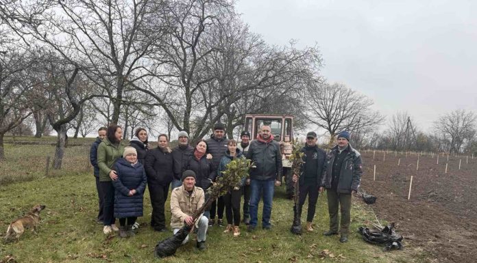 Підопічних Китайгородського будинку-інтернату тішитиме новий сад