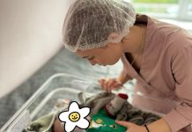 Практика, яка формує серце і професію