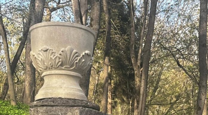 На території Малієвецького обласного історико-культурного музею відновили фонтан «Паща лева»