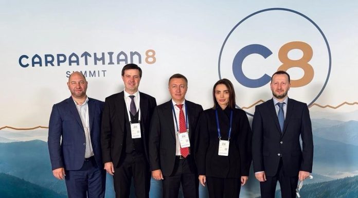 Віолета Лабазюк взяла участь у Саміті Карпатської вісімки C8